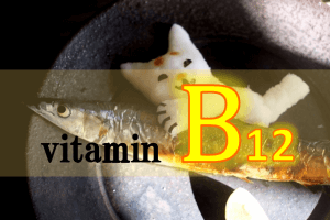 ビタミンB₁₂の生理作用・食事摂取基準・多く含む食品などを簡単にまとめてみた!