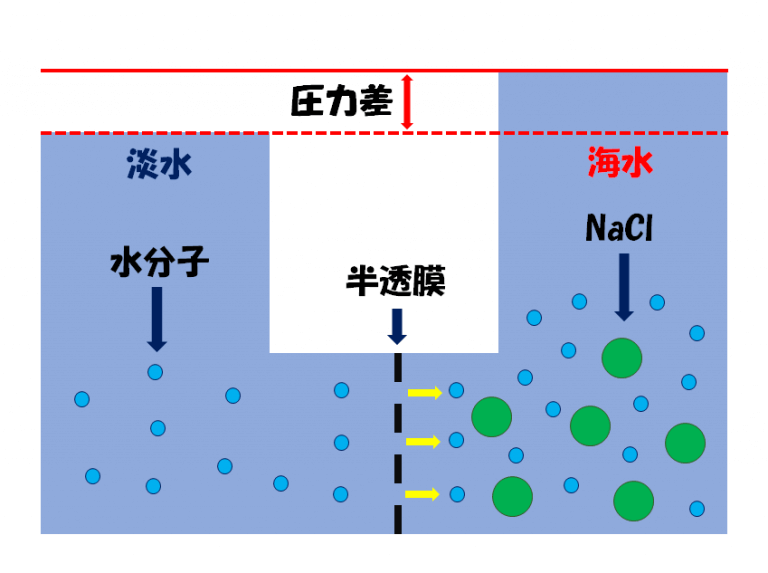 【浸透圧とは？】できるだけわかりやすく解説してみた！ | スポーツ栄養士あじのブログ