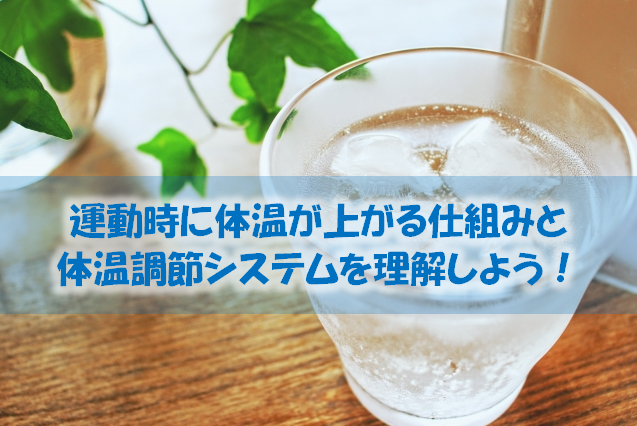 第97回全国高校サッカー選手権大会 各校のレギュラー選手の平均身長 体重 Bmiをランキング形式で紹介 スポーツ栄養士あじのブログ