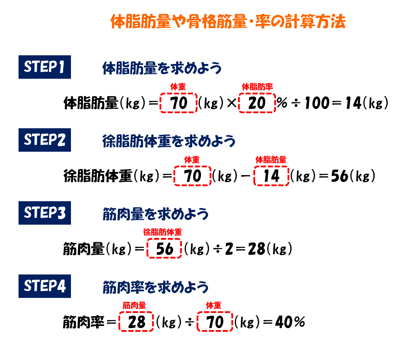 人の体は何でできているの 身体組成を知ることで栄養素の働きも理解できる スポーツ栄養士あじのブログ